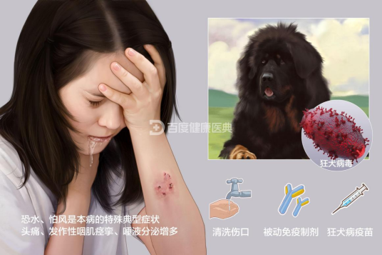 狂犬病