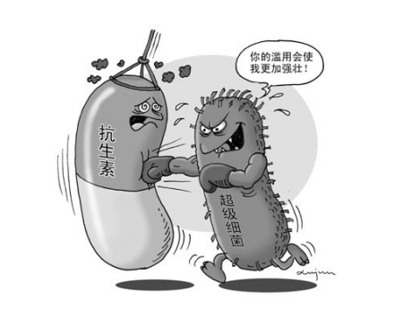 耐药细菌漫画