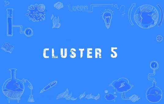 cluster 5