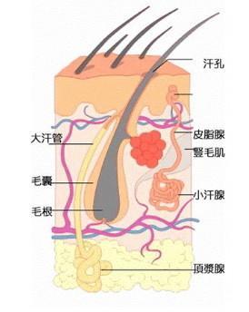 出冷汗