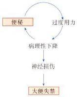 会阴下降综合征