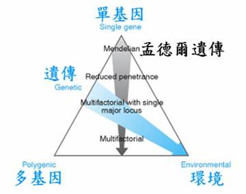 孟德尔遗传病