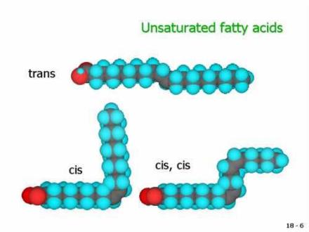 不饱和脂肪酸 结构