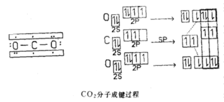 CO₂成键过程