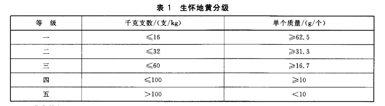 表1 生怀地黄分级