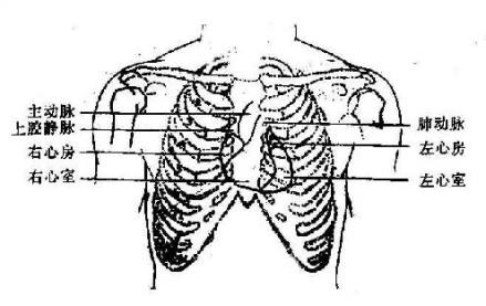 胸胁局部肿痛
