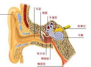 耳根部疼痛