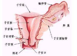 阴道持续少量流血