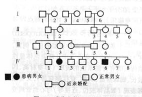 常染色体隐性遗传病系谱