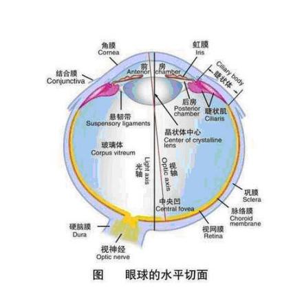 视力障碍