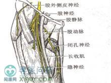 股神经干性痛