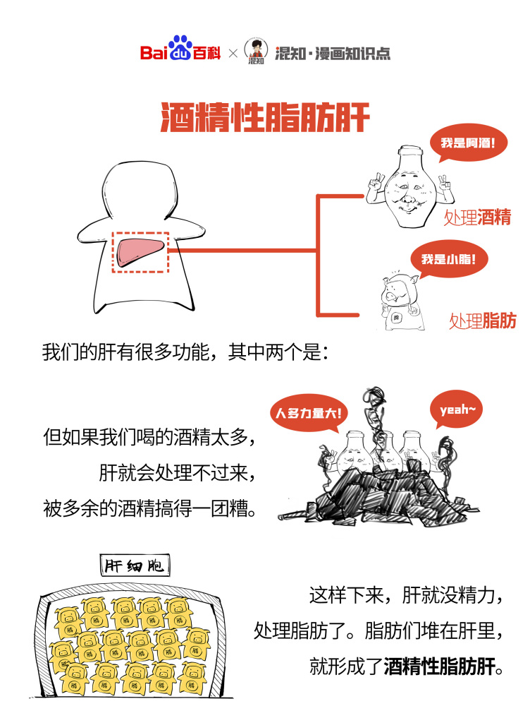 百科x混知：图解酒精性脂肪肝