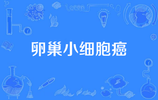 卵巢小细胞癌
