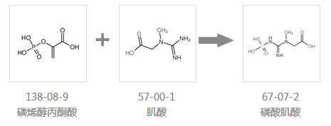 磷酸肌酸的合成路线