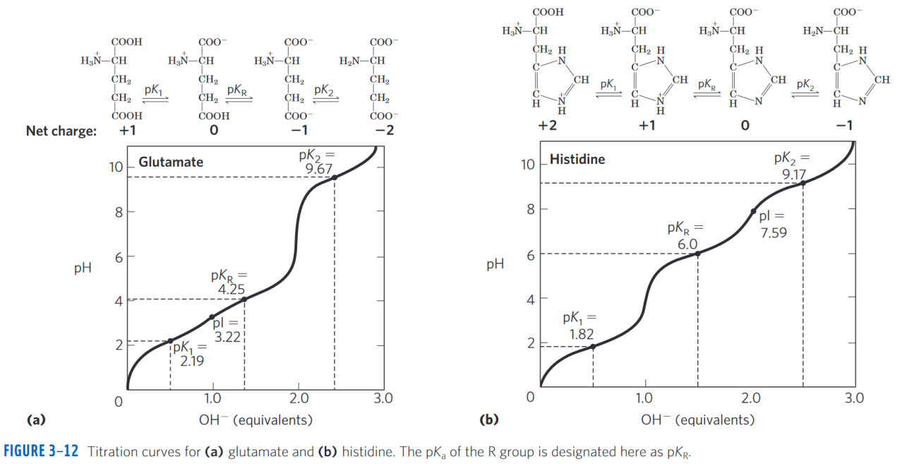 (a)谷氨酸和(b)组氨酸的滴定曲线 
