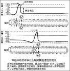 神经冲动