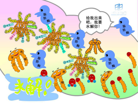 脂类漫画