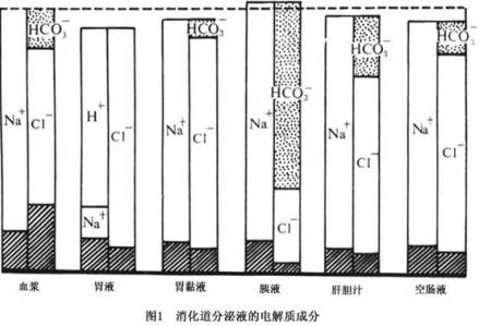 消化道分泌液的电解质成分