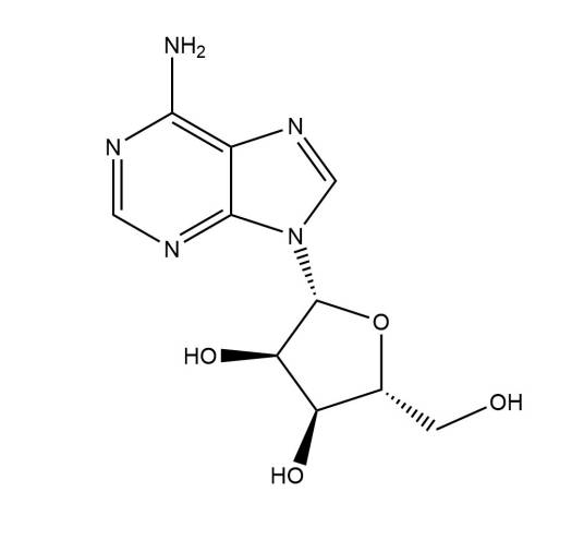 腺苷