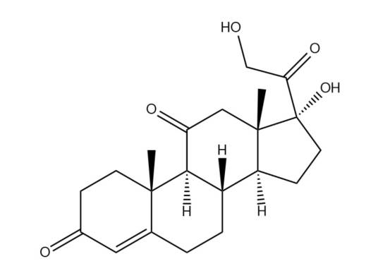 可的松