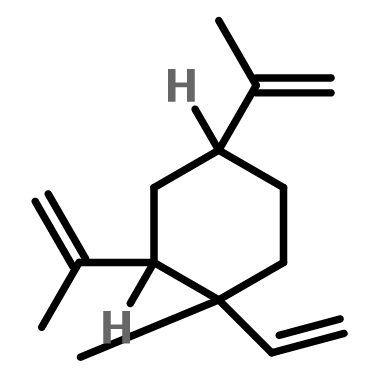 结构式