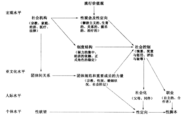 对人类性的社会学理解方式 