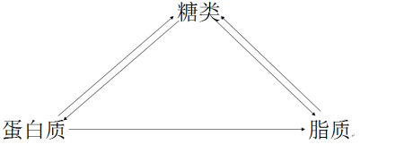 三大营养物质转化图示