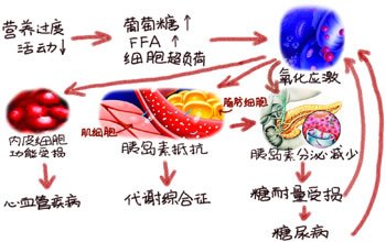 游离脂肪酸和氧化应激