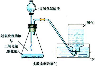 过氧化氢溶液催化分解