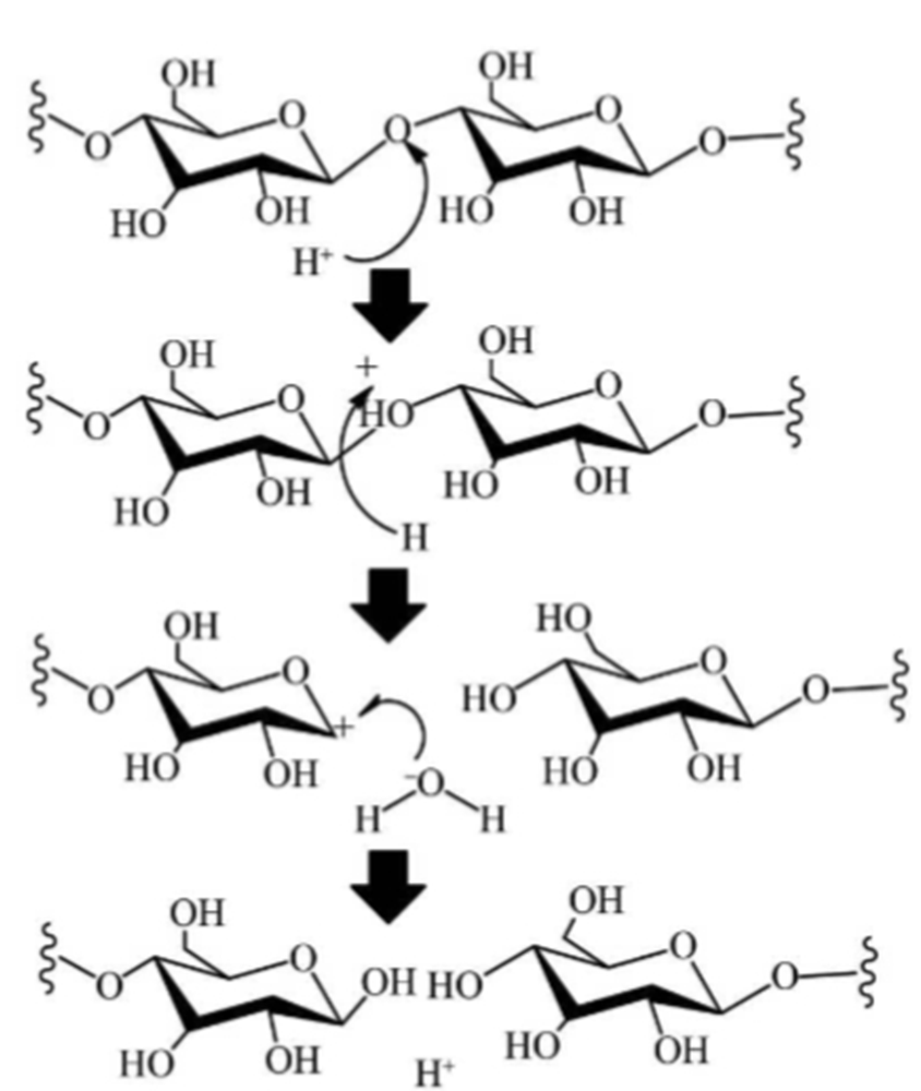 图4纤维素酸水解机理图 