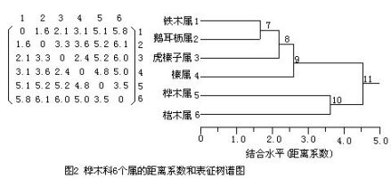 图2相关图片