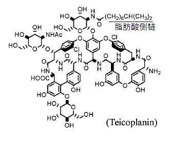 替考拉宁