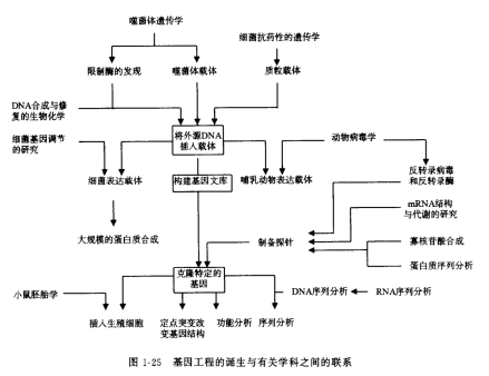 基因工程的诞生与相关学科之间的联系 