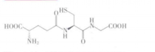 谷胱甘肽