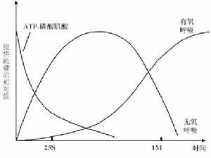 无氧呼吸过程示例图