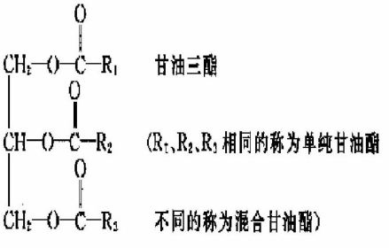 脂类分子式